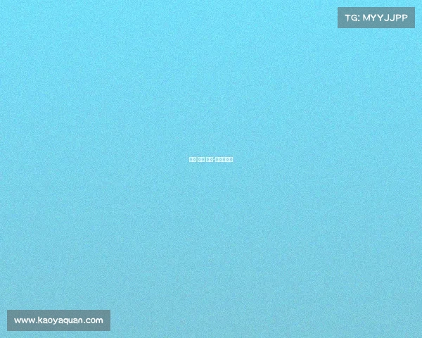 中超 赛事 上海-中超上海队